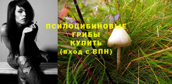 кристаллы Алзамай