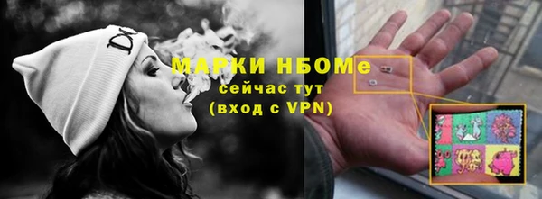 стаф Алексин