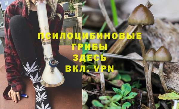 стаф Алексин