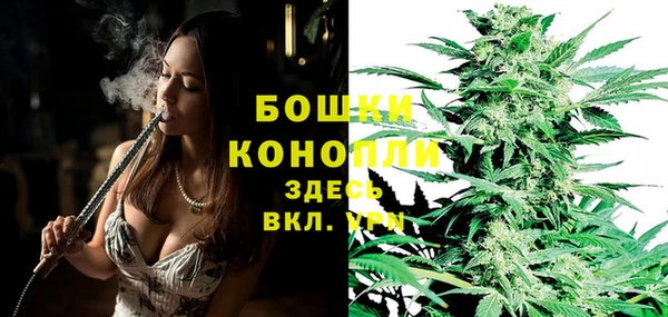 гидра Абаза