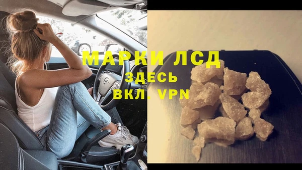 стаф Алексин