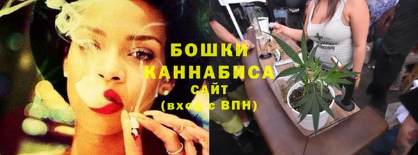 эйфоретик Няндома