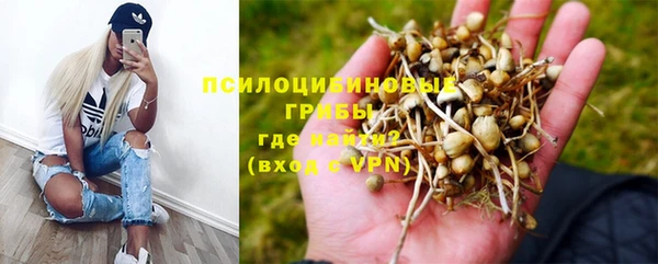 стаф Алексин