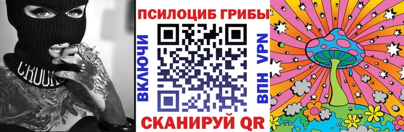 мега зеркало  Опочка  Галлюциногенные грибы Cubensis  цена  